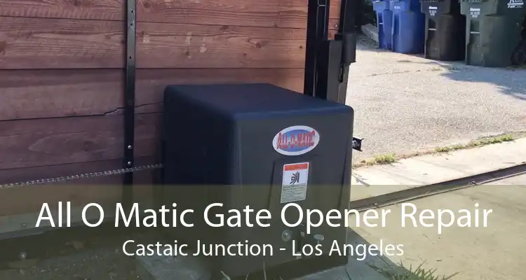 All O Matic Gate Opener Repair Castaic Junction - Los Angeles