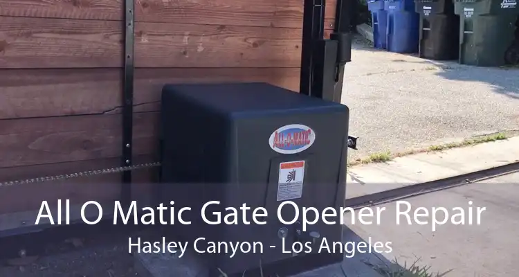 All O Matic Gate Opener Repair Hasley Canyon - Los Angeles