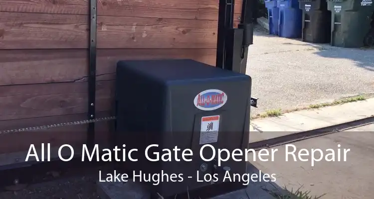 All O Matic Gate Opener Repair Lake Hughes - Los Angeles