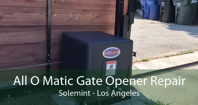 All O Matic Gate Opener Repair Solemint - Los Angeles