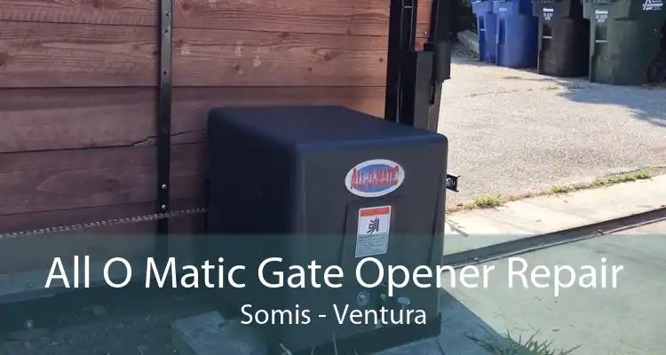 All O Matic Gate Opener Repair Somis - Ventura