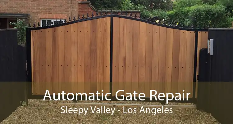 Automatic Gate Repair Sleepy Valley - Los Angeles