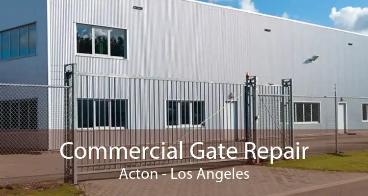 Commercial Gate Repair Acton - Los Angeles