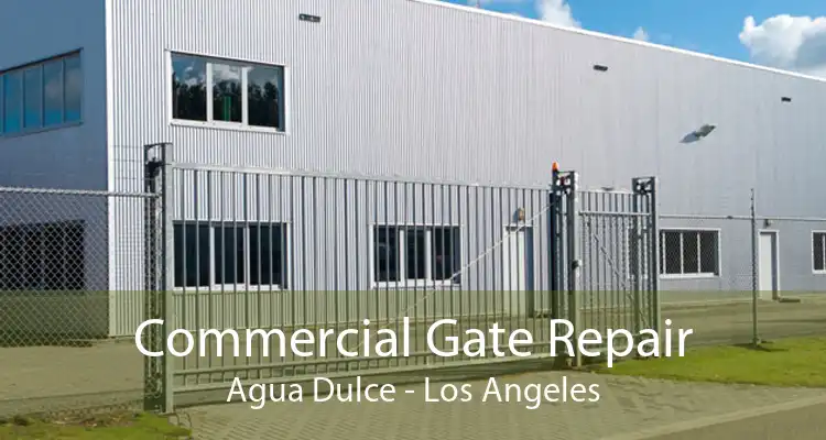 Commercial Gate Repair Agua Dulce - Los Angeles