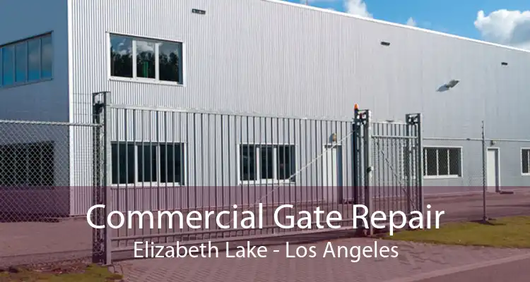 Commercial Gate Repair Elizabeth Lake - Los Angeles