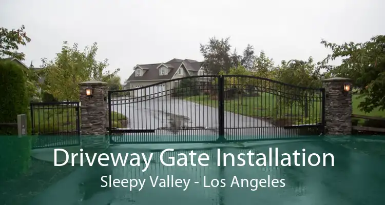 Driveway Gate Installation Sleepy Valley - Los Angeles