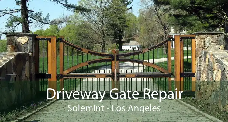 Driveway Gate Repair Solemint - Los Angeles