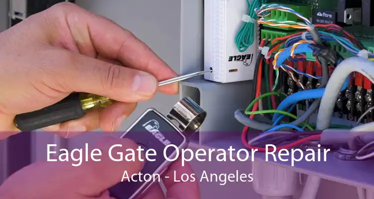 Eagle Gate Operator Repair Acton - Los Angeles