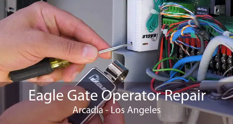 Eagle Gate Operator Repair Arcadia - Los Angeles