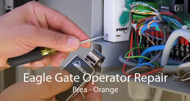 Eagle Gate Operator Repair Brea - Orange