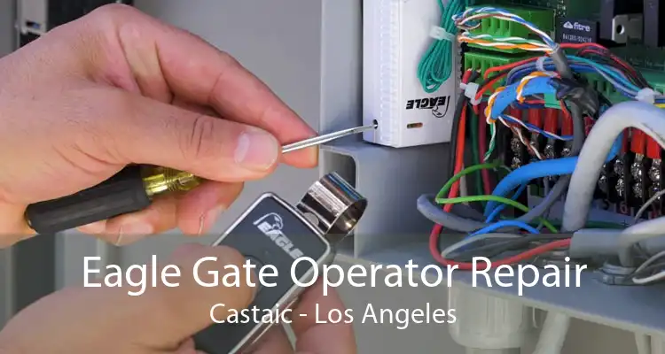 Eagle Gate Operator Repair Castaic - Los Angeles