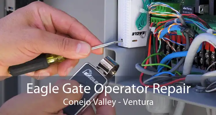 Eagle Gate Operator Repair Conejo Valley - Ventura