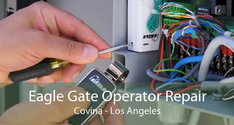 Eagle Gate Operator Repair Covina - Los Angeles