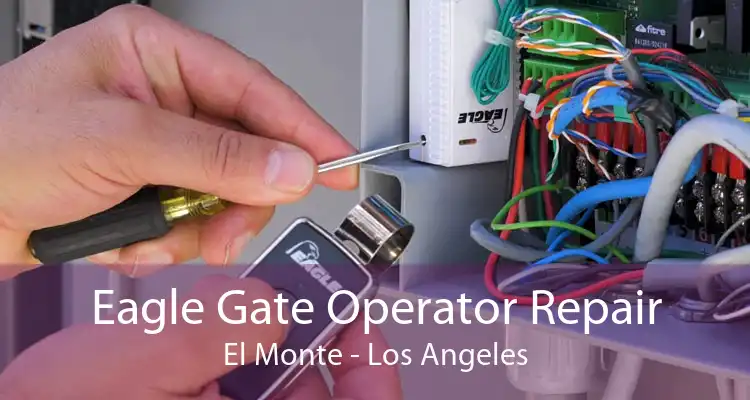 Eagle Gate Operator Repair El Monte - Los Angeles