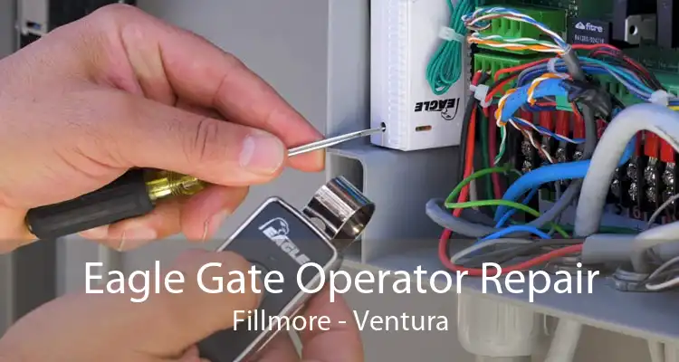 Eagle Gate Operator Repair Fillmore - Ventura