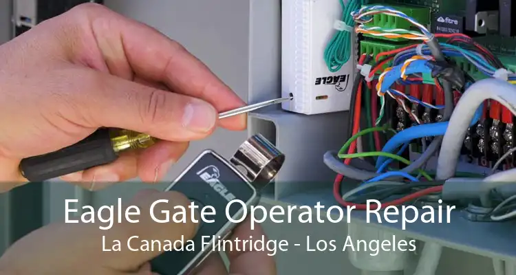 Eagle Gate Operator Repair La Canada Flintridge - Los Angeles