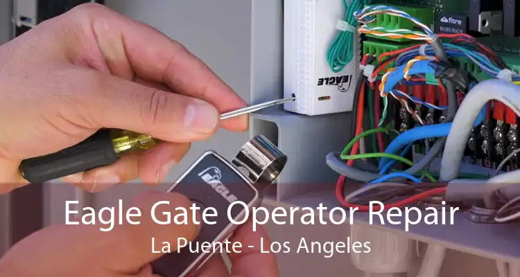 Eagle Gate Operator Repair La Puente - Los Angeles