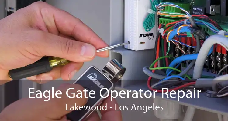 Eagle Gate Operator Repair Lakewood - Los Angeles