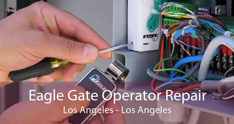 Eagle Gate Operator Repair Los Angeles - Los Angeles