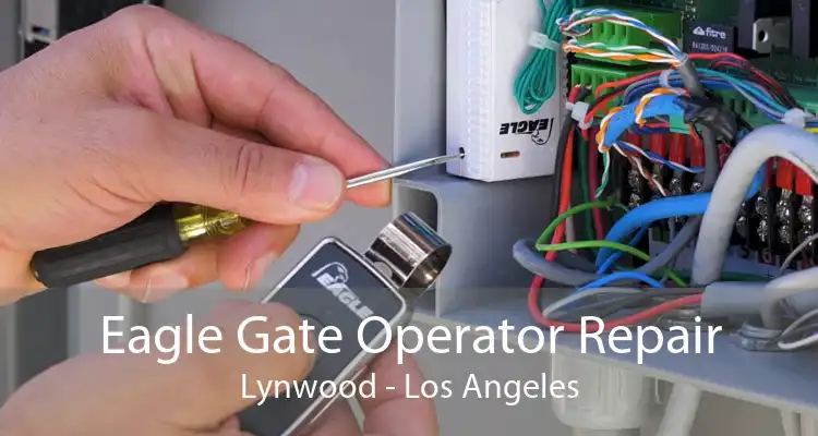 Eagle Gate Operator Repair Lynwood - Los Angeles