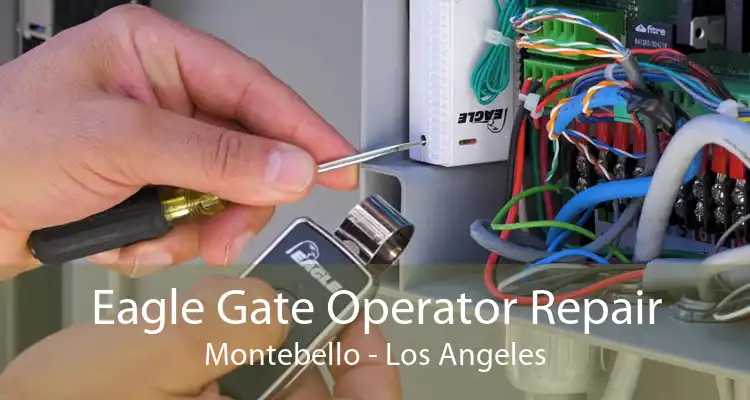 Eagle Gate Operator Repair Montebello - Los Angeles