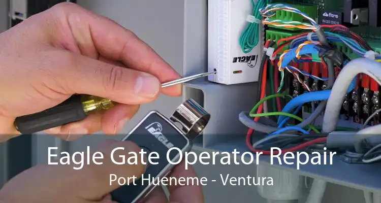 Eagle Gate Operator Repair Port Hueneme - Ventura