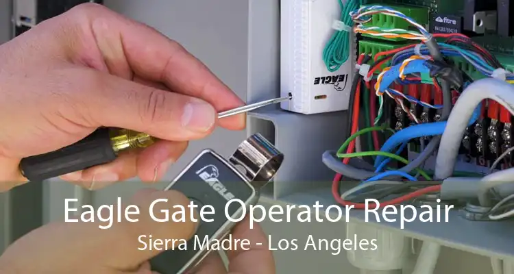 Eagle Gate Operator Repair Sierra Madre - Los Angeles