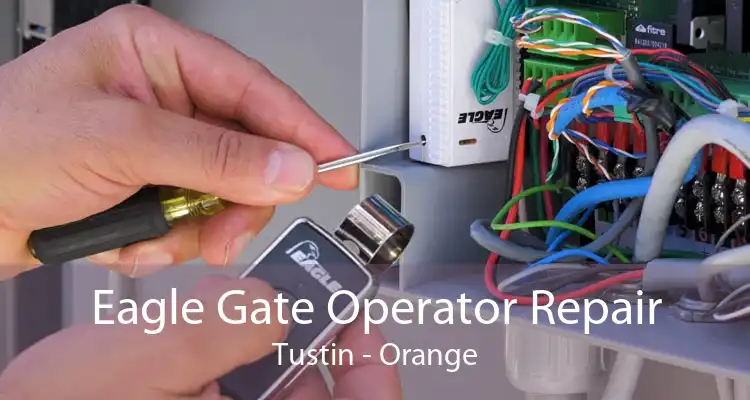 Eagle Gate Operator Repair Tustin - Orange