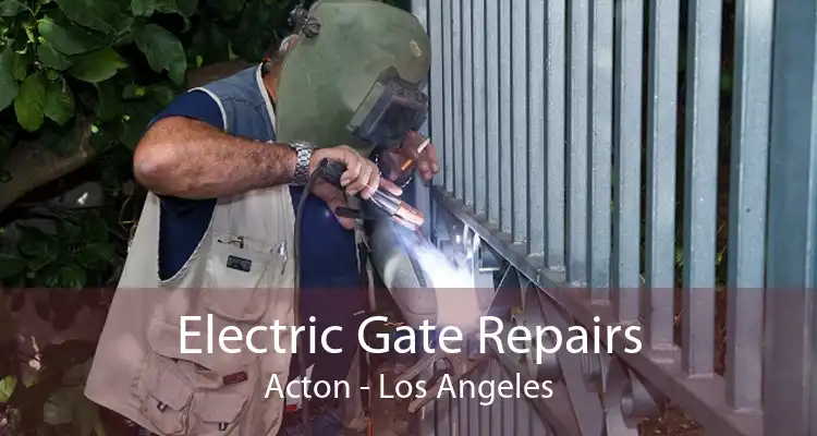 Electric Gate Repairs Acton - Los Angeles