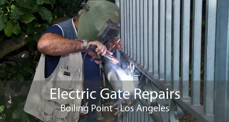 Electric Gate Repairs Boiling Point - Los Angeles