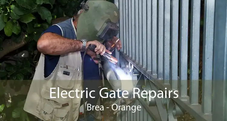 Electric Gate Repairs Brea - Orange