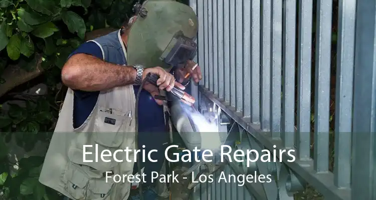 Electric Gate Repairs Forest Park - Los Angeles