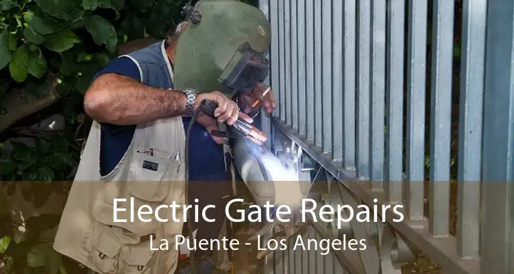 Electric Gate Repairs La Puente - Los Angeles