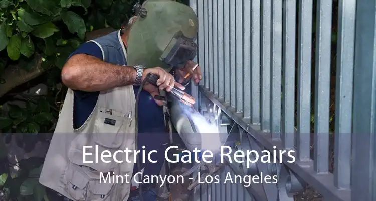 Electric Gate Repairs Mint Canyon - Los Angeles