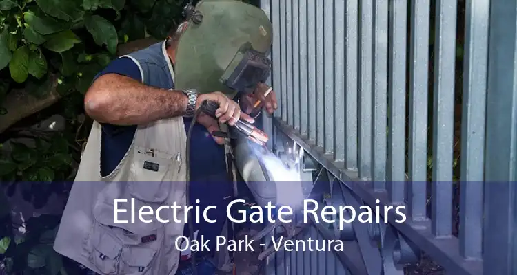 Electric Gate Repairs Oak Park - Ventura