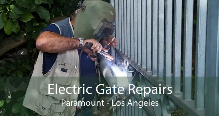 Electric Gate Repairs Paramount - Los Angeles