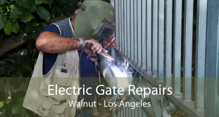 Electric Gate Repairs Walnut - Los Angeles