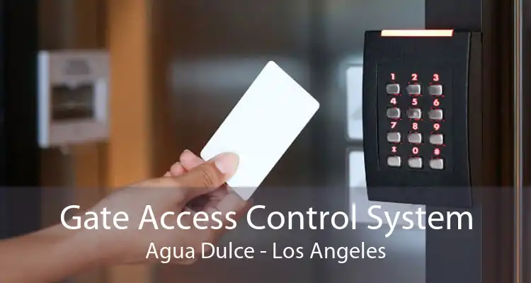 Gate Access Control System Agua Dulce - Los Angeles