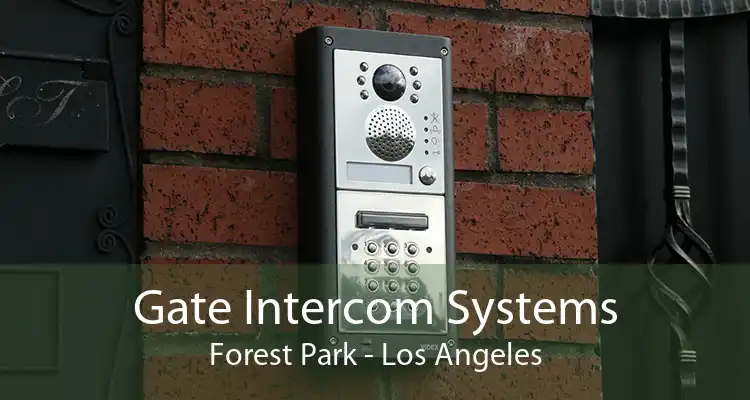 Gate Intercom Systems Forest Park - Los Angeles