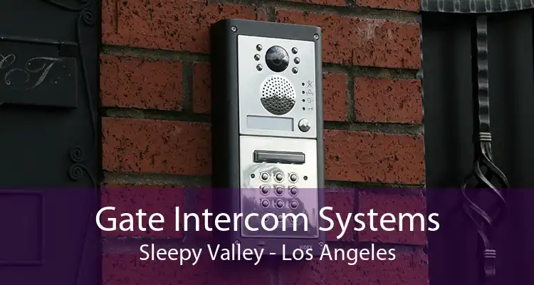 Gate Intercom Systems Sleepy Valley - Los Angeles