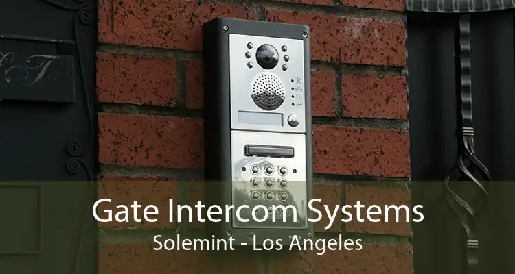 Gate Intercom Systems Solemint - Los Angeles