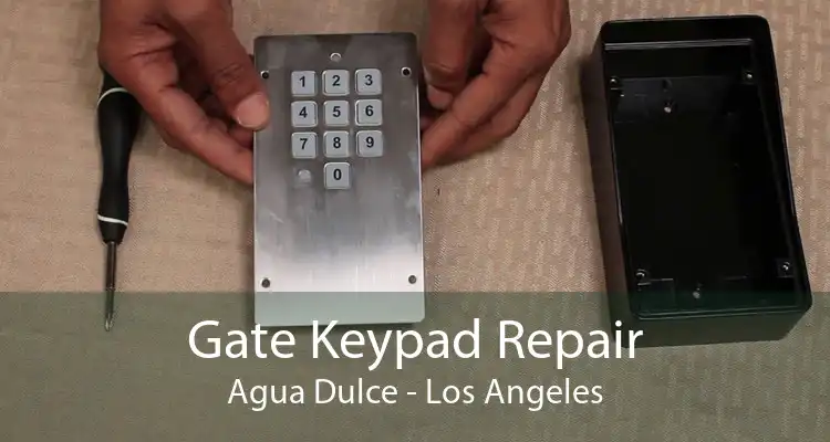 Gate Keypad Repair Agua Dulce - Los Angeles