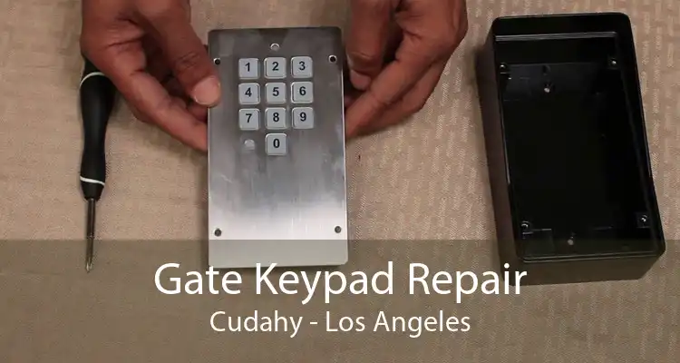 Gate Keypad Repair Cudahy - Los Angeles