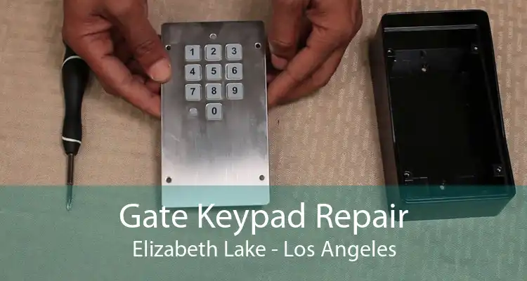 Gate Keypad Repair Elizabeth Lake - Los Angeles