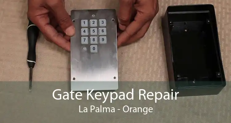 Gate Keypad Repair La Palma - Orange