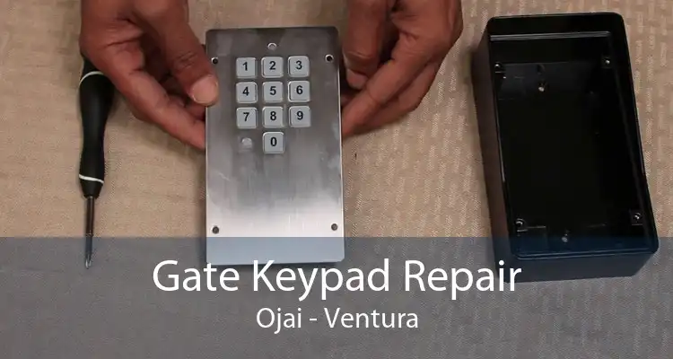 Gate Keypad Repair Ojai - Ventura