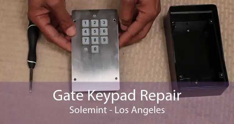 Gate Keypad Repair Solemint - Los Angeles