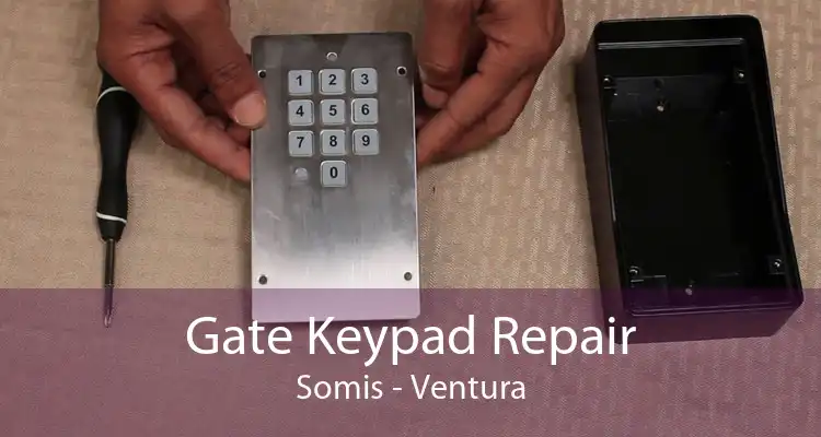 Gate Keypad Repair Somis - Ventura