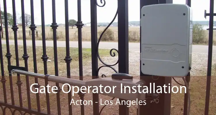 Gate Operator Installation Acton - Los Angeles