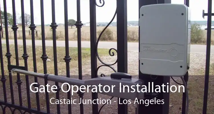 Gate Operator Installation Castaic Junction - Los Angeles